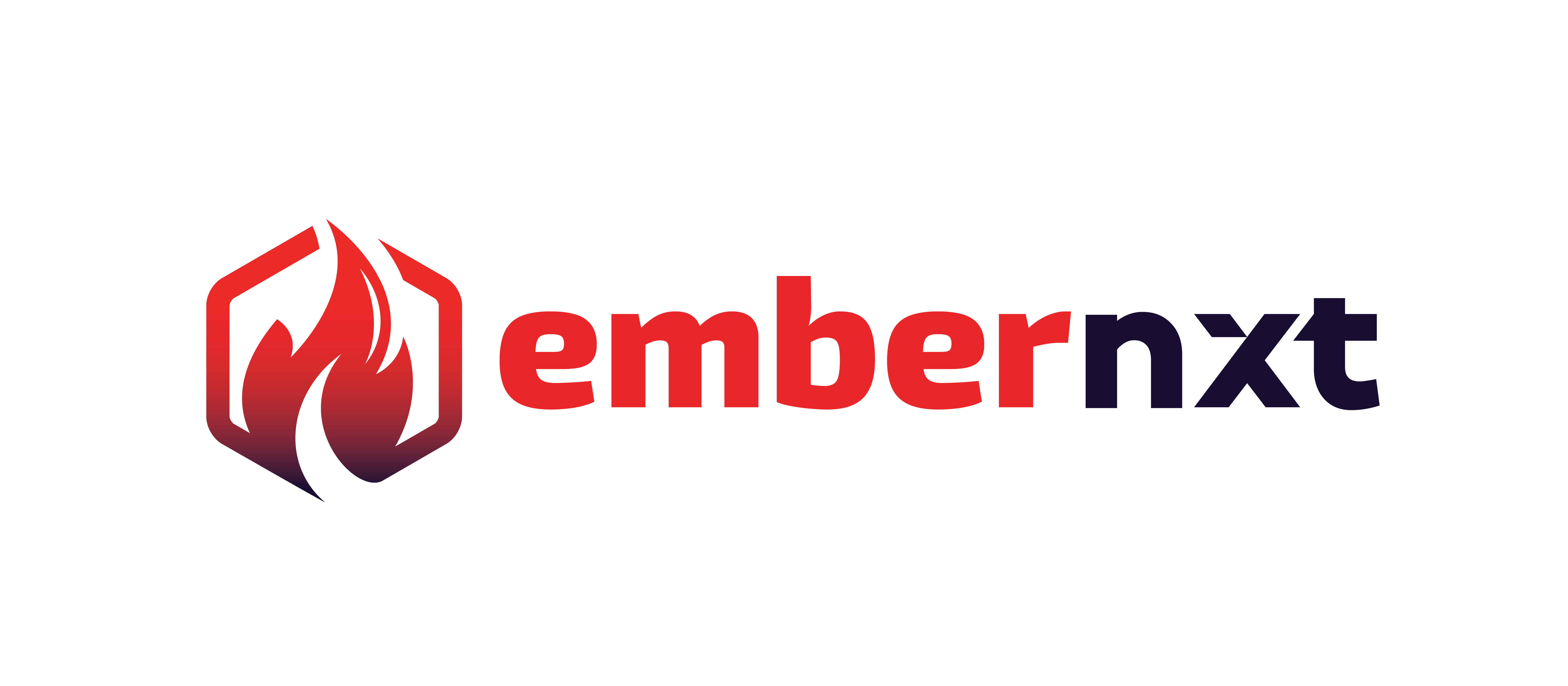 Embernxt IT Solutions